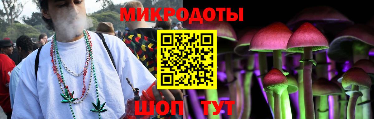 Звенигород  Псилоцибиновые грибы Psilocybe  Вход с VPN 